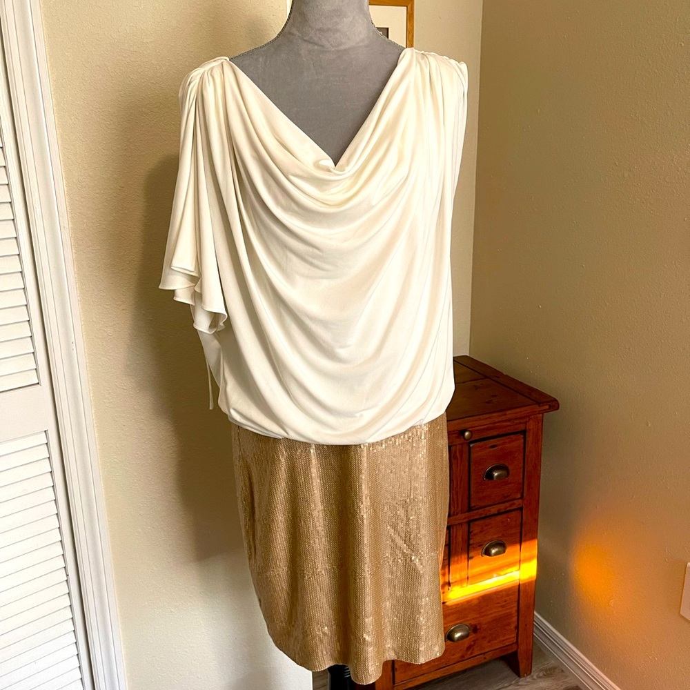 NWT Laundry Goddess dress